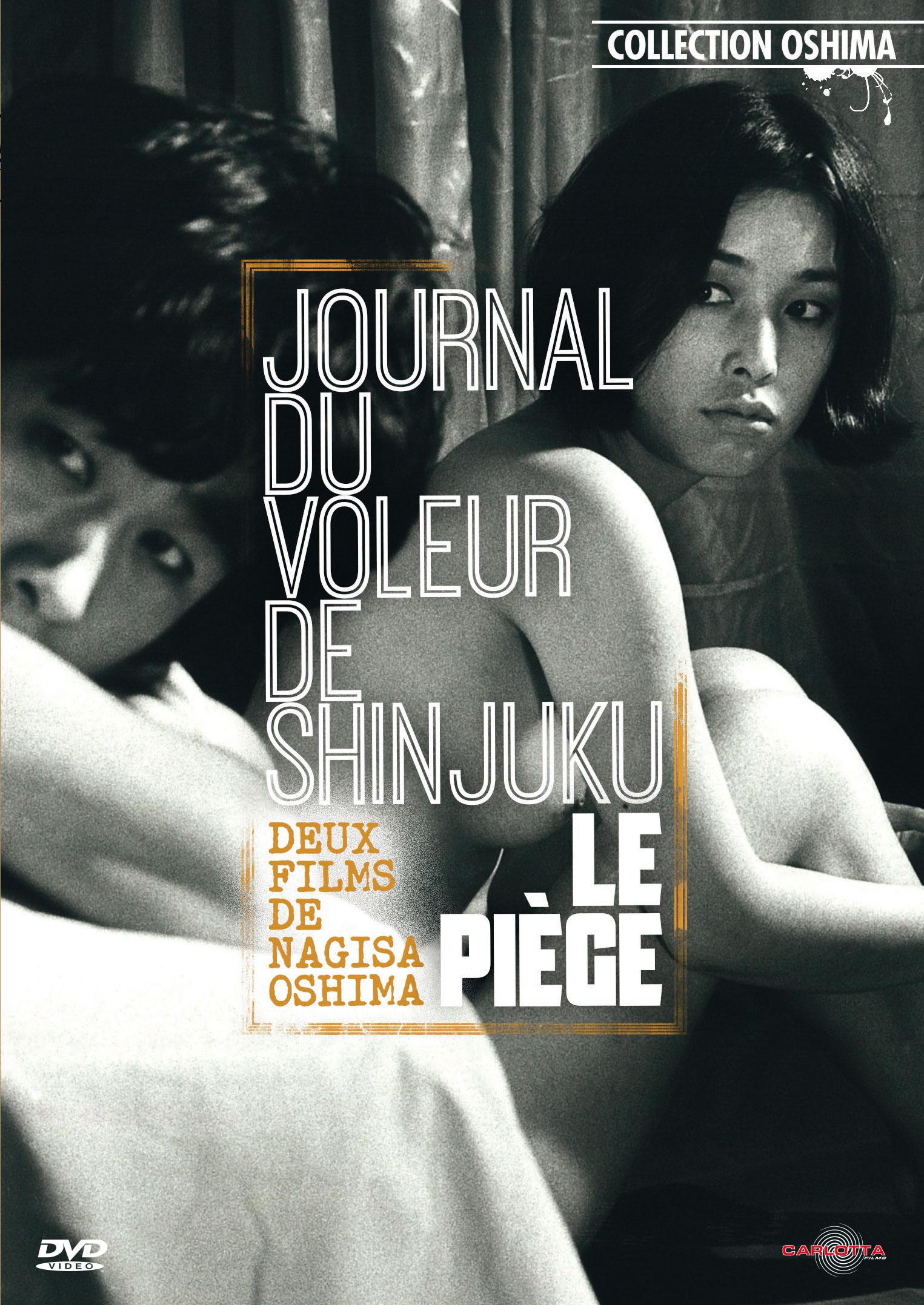 Journal D Un Voleur De Shinjuku