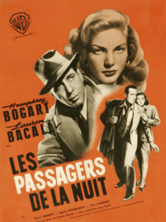 Les Passagers de la nuit