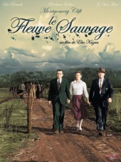 LE FLEUVE SAUVAGE