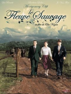 LE FLEUVE SAUVAGE