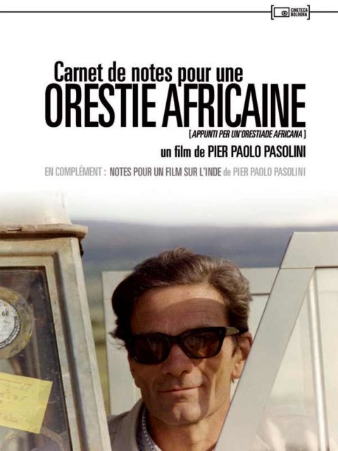 CARNETS DE NOTES POUR UNE ORESTIE AFRICAINE