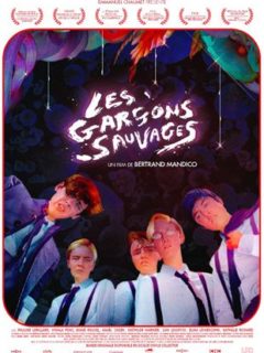 LES GARCONS SAUVAGES