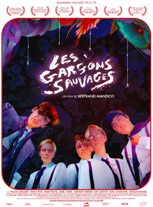 LES GARCONS SAUVAGES