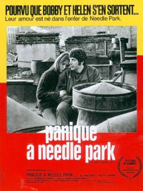 PANIQUE A NEEDLE PARK