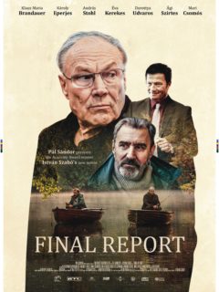 FINAL REPORT