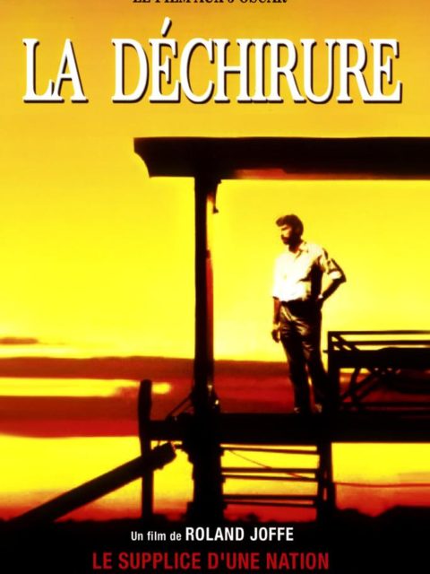 LA DECHIRURE