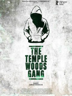 LE GANG DES BOIS DU TEMPLE