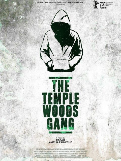 LE GANG DES BOIS DU TEMPLE