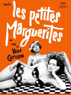 Les petites marguerites