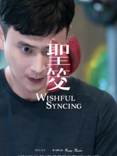 WISHFUL SYNCING