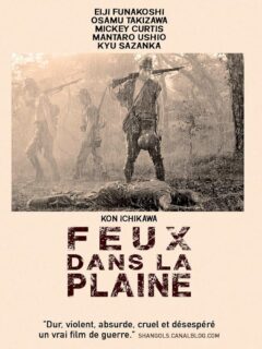 Feux Dans la Plaine