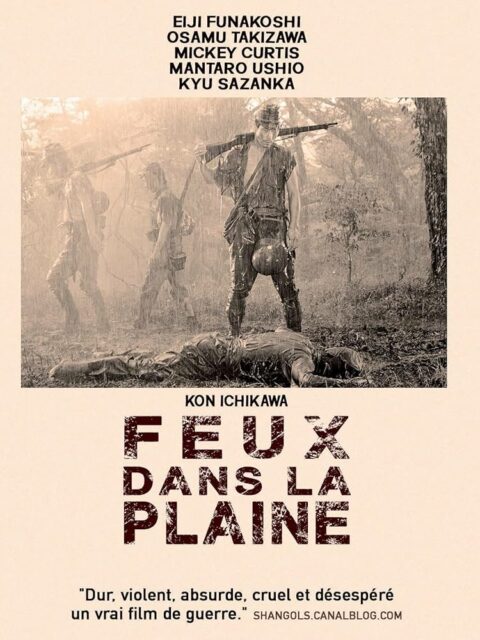 Feux Dans la Plaine