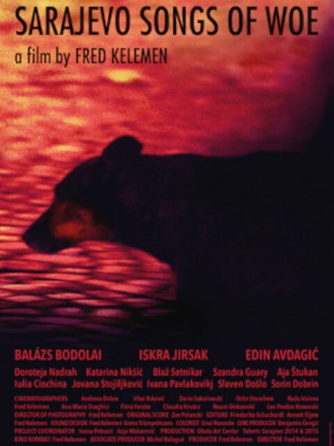 Sarajevo songs of woe