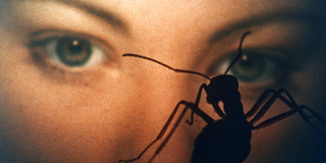 Ciné-club de la Crypte : Phase IV de Saul Bass