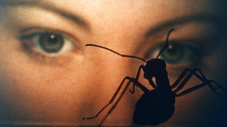 Ciné-club de la Crypte : Phase IV de Saul Bass