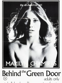 Derrière la porte verte